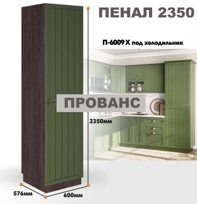provans_p_6009 x_3